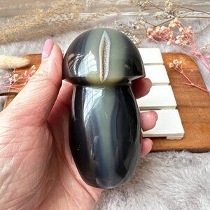 Gorgeous Orca Agate Mushroom Carving
